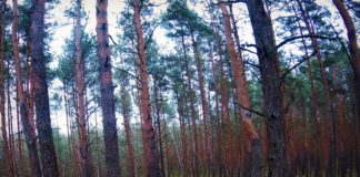 Zaplanuj swój sezon startowy !