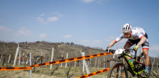 Zapowiedź weekendowych wyścigów