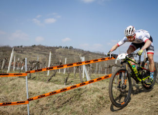 Zapowiedź weekendowych wyścigów