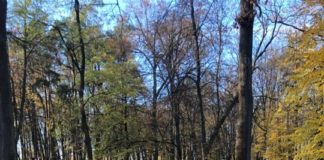 Podsumowanie weekendu 19-20.10.2019