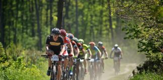 Wszystkie drogi prowadzą do Piaseczna