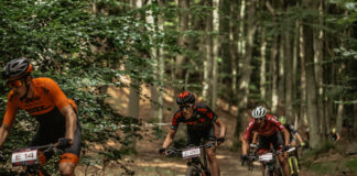 Mistrzostwa z problemami