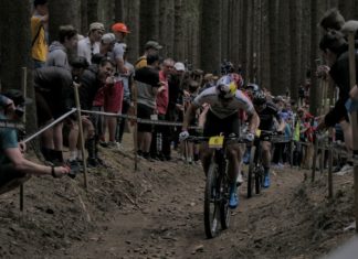 Zestawienie transferów 2021