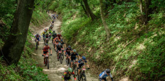 Nimfy, rusałki i amory: Brodnica Cisowianka Mazovia MTB Marathon