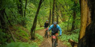 Przekorne piękno Brodnicy. Cisowianka Mazovia MTB Marathon
