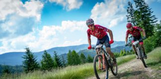 Brzózka Adrian i Aleksandra Andrzejewska wygrywają 3 edycje Pucharu Polski w Maratonie