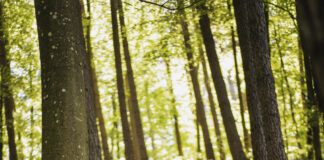 MH Automatyka Pomerania MTB Maraton w Lęborku już 25 czerwca