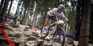 Rowerowy Rynek Covidu