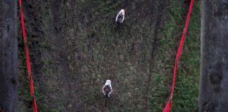 Kulminacja Maratonu Przełajowego, Puchar Świata w Hulst